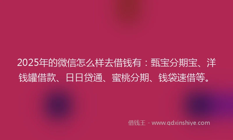 2025年的微信怎么样去借钱有：甄宝分期宝、洋钱罐借款、日日贷通、蜜桃分期、钱袋速借等。