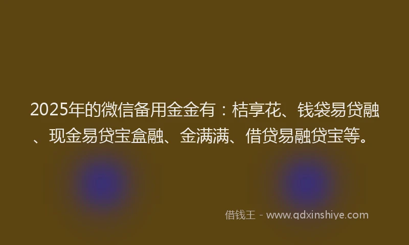 2025年的微信备用金金有：桔享花、钱袋易贷融、现金易贷宝盒融、金满满、借贷易融贷宝等。