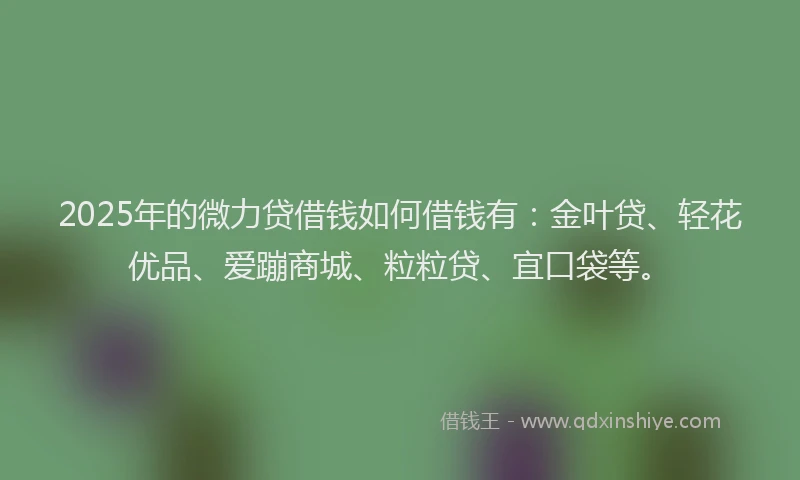 2025年的微力贷借钱如何借钱有：金叶贷、轻花优品、爱蹦商城、粒粒贷、宜口袋等。