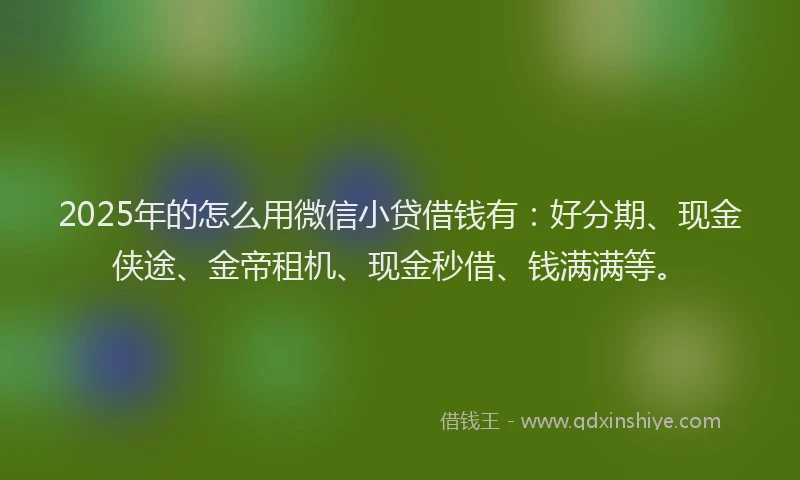 2025年的怎么用微信小贷借钱有：好分期、现金侠途、金帝租机、现金秒借、钱满满等。