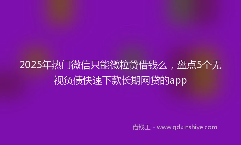 2025年热门微信只能微粒贷借钱么，盘点5个无视负债快速下款长期网贷的app