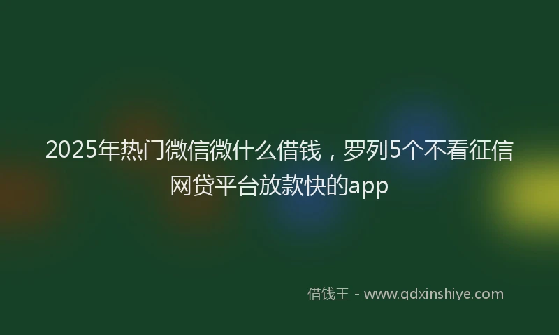 2025年热门微信微什么借钱，罗列5个不看征信网贷平台放款快的app