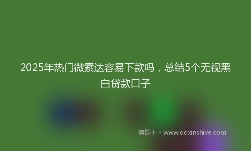 2025年热门微素达容易下款吗，总结5个无视黑白贷款口子