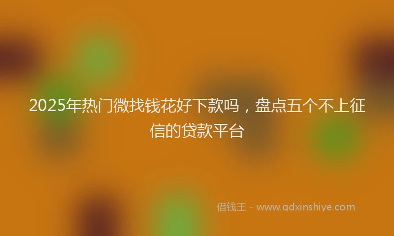 2025年热门微找钱花好下款吗，盘点五个不上征信的贷款平台