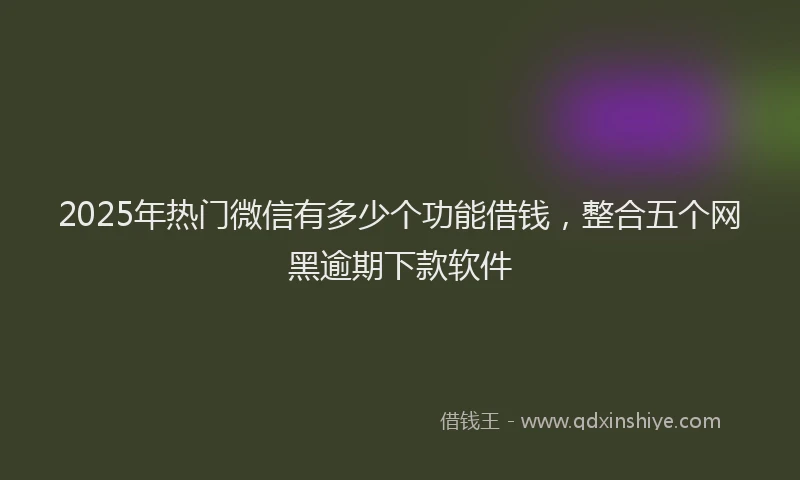2025年热门微信有多少个功能借钱，整合五个网黑逾期下款软件