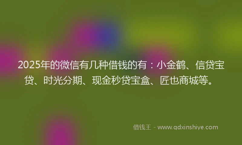 2025年的微信有几种借钱的有：小金鹤、信贷宝贷、时光分期、现金秒贷宝盒、匠也商城等。