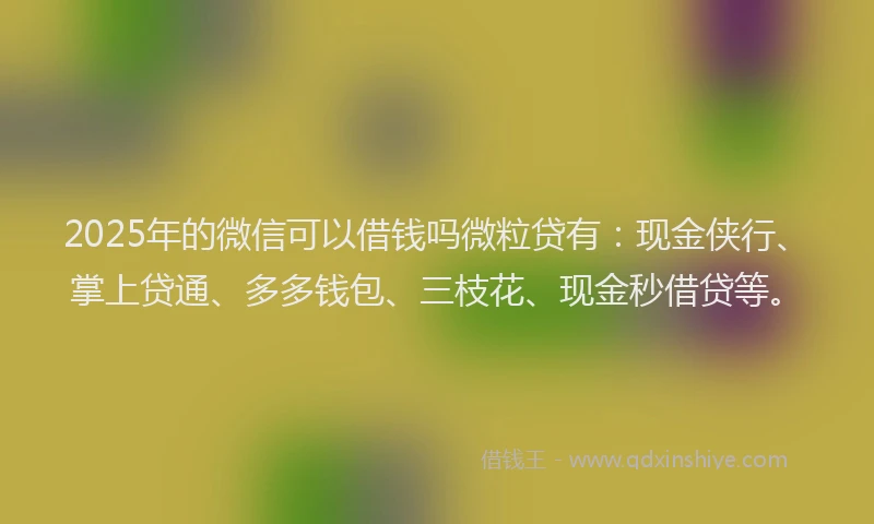 2025年的微信可以借钱吗微粒贷有：现金侠行、掌上贷通、多多钱包、三枝花、现金秒借贷等。