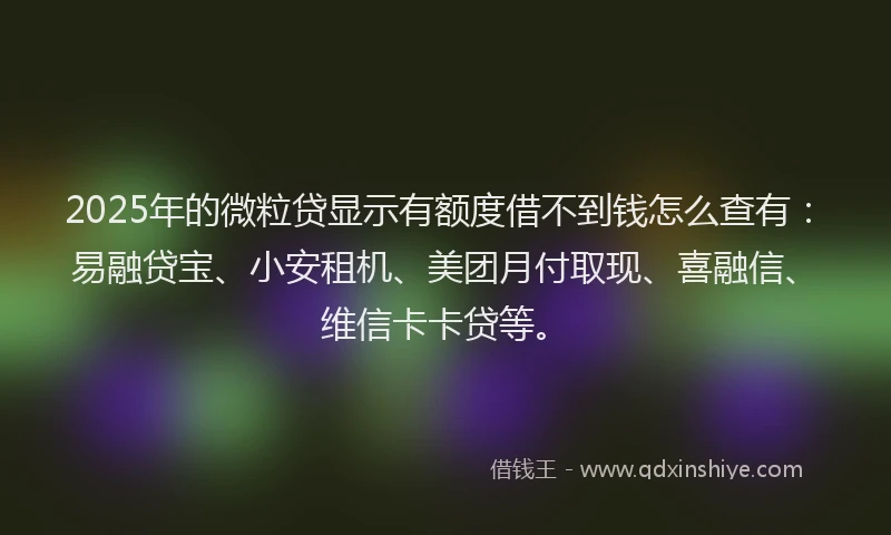 2025年的微粒贷显示有额度借不到钱怎么查有：易融贷宝、小安租机、美团月付取现、喜融信、维信卡卡贷等。