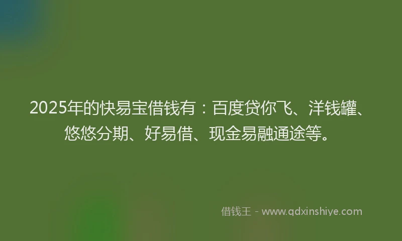 2025年的快易宝借钱有：百度贷你飞、洋钱罐、悠悠分期、好易借、现金易融通途等。
