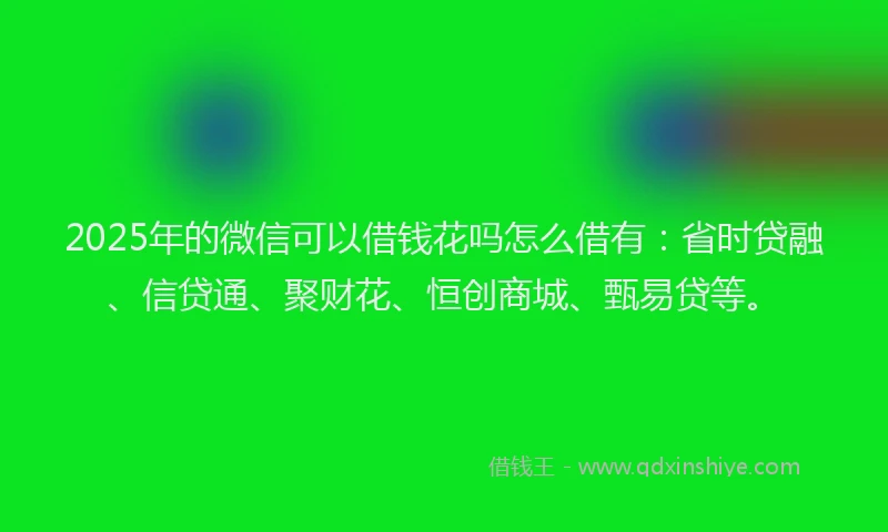 2025年的微信可以借钱花吗怎么借有：省时贷融、信贷通、聚财花、恒创商城、甄易贷等。