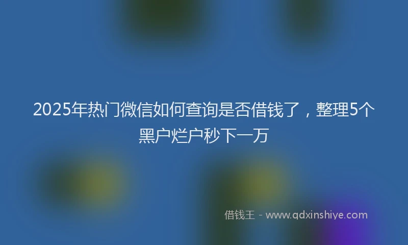 2025年热门微信如何查询是否借钱了，整理5个黑户烂户秒下一万