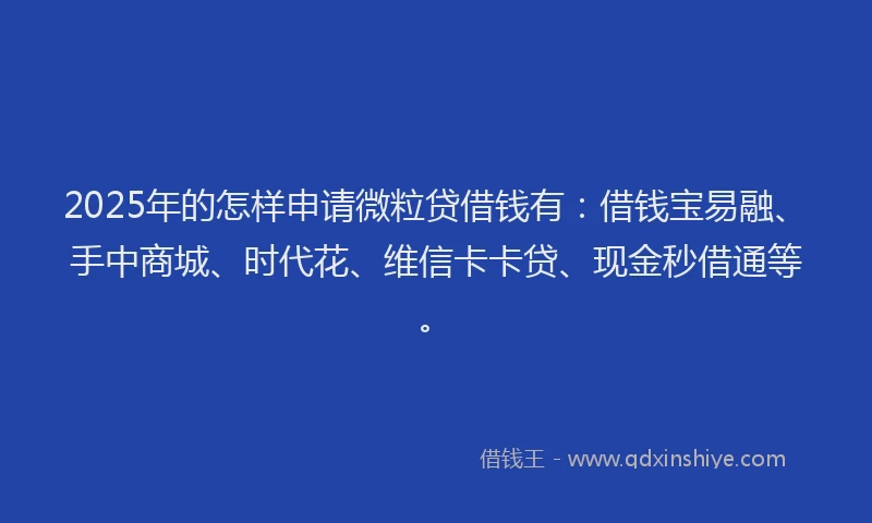 2025年的怎样申请微粒贷借钱有：借钱宝易融、手中商城、时代花、维信卡卡贷、现金秒借通等。