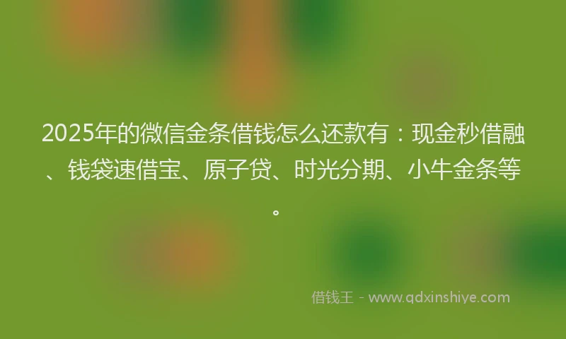 2025年的微信金条借钱怎么还款有：现金秒借融、钱袋速借宝、原子贷、时光分期、小牛金条等。