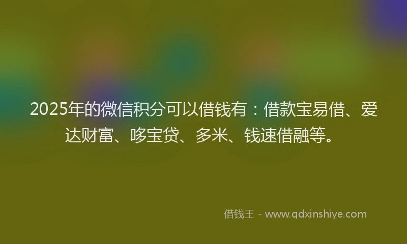 2025年的微信积分可以借钱有:借款宝易借、爱达财富、哆宝贷、多米、钱速借融等。