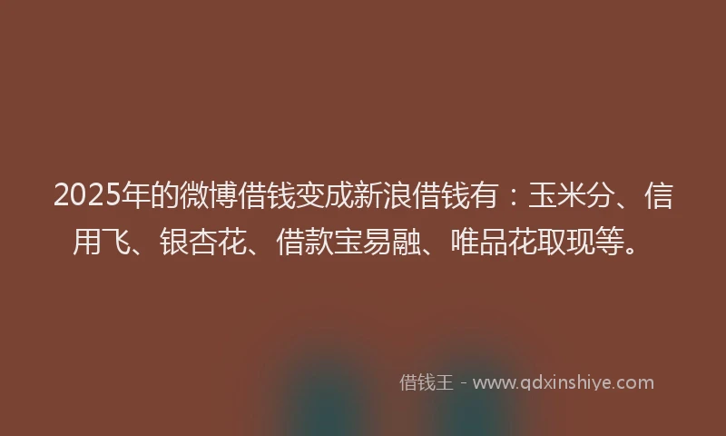2025年的微博借钱变成新浪借钱有：玉米分、信用飞、银杏花、借款宝易融、唯品花取现等。