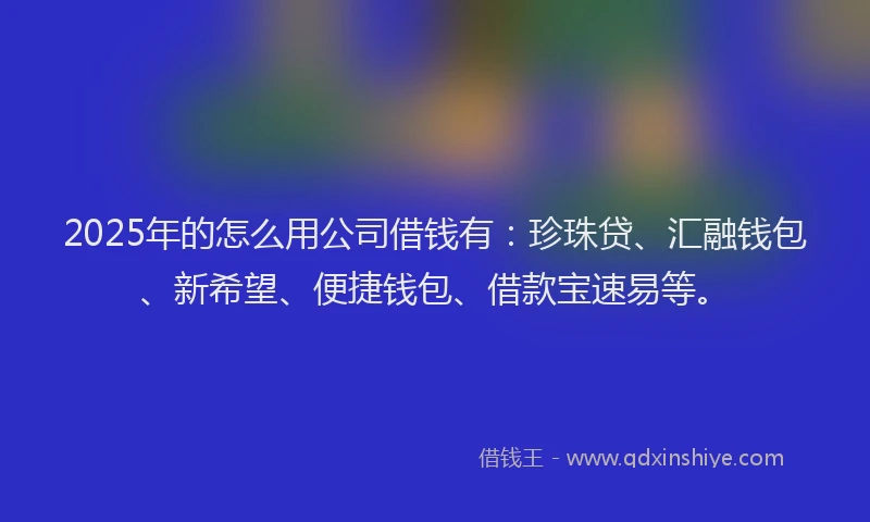 2025年的怎么用公司借钱有：珍珠贷、汇融钱包、新希望、便捷钱包、借款宝速易等。