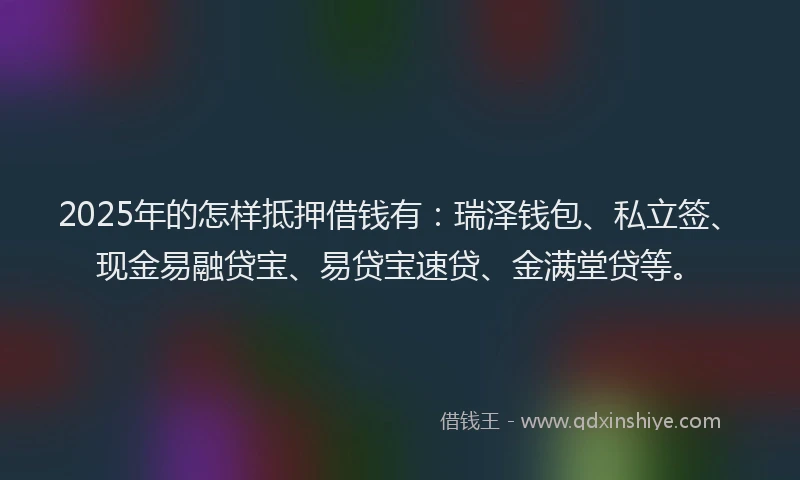 2025年的怎样抵押借钱有：瑞泽钱包、私立签、现金易融贷宝、易贷宝速贷、金满堂贷等。