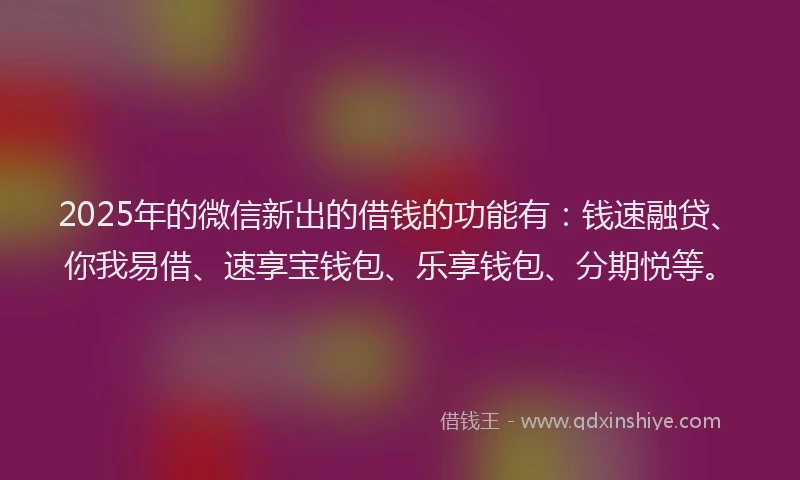 2025年的微信新出的借钱的功能有：钱速融贷、你我易借、速享宝钱包、乐享钱包、分期悦等。