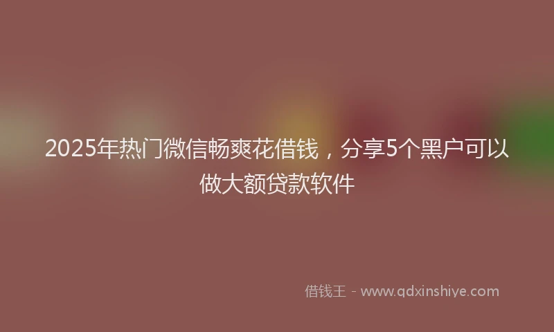 2025年热门微信畅爽花借钱，分享5个黑户可以做大额贷款软件