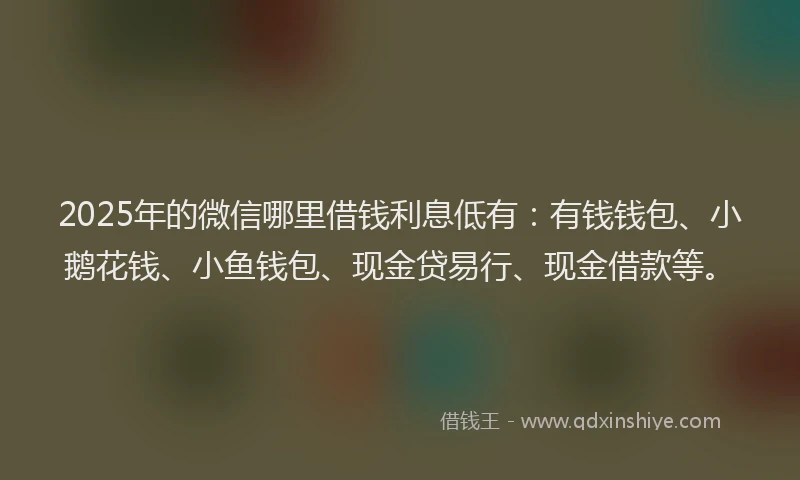2025年的微信哪里借钱利息低有：有钱钱包、小鹅花钱、小鱼钱包、现金贷易行、现金借款等。