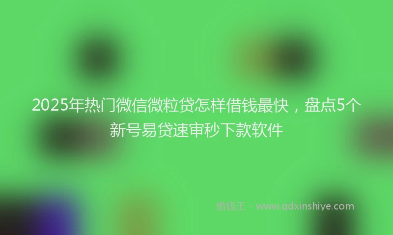2025年热门微信微粒贷怎样借钱最快，盘点5个新号易贷速审秒下款软件