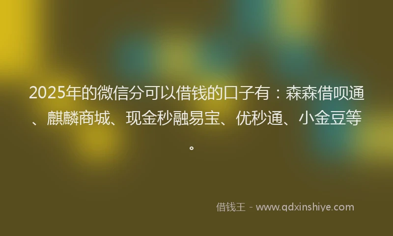 2025年的微信分可以借钱的口子有：森森借呗通、麒麟商城、现金秒融易宝、优秒通、小金豆等。