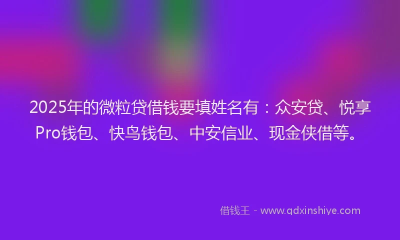 2025年的微粒贷借钱要填姓名有：众安贷、悦享Pro钱包、快鸟钱包、中安信业、现金侠借等。