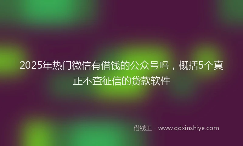 2025年热门微信有借钱的公众号吗，概括5个真正不查征信的贷款软件