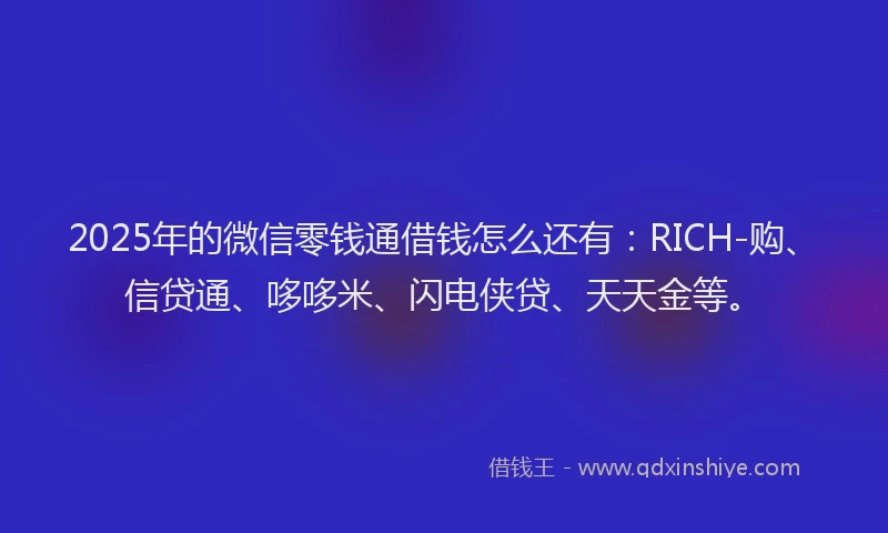 2025年的微信零钱通借钱怎么还有：RICH-购、信贷通、哆哆米、闪电侠贷、天天金等。