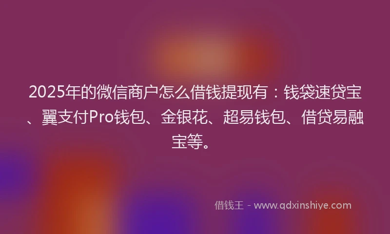 2025年的微信商户怎么借钱提现有：钱袋速贷宝、翼支付Pro钱包、金银花、超易钱包、借贷易融宝等。