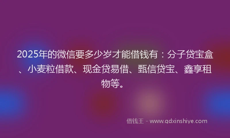 2025年的微信要多少岁才能借钱有：分子贷宝盒、小麦粒借款、现金贷易借、甄信贷宝、鑫享租物等。