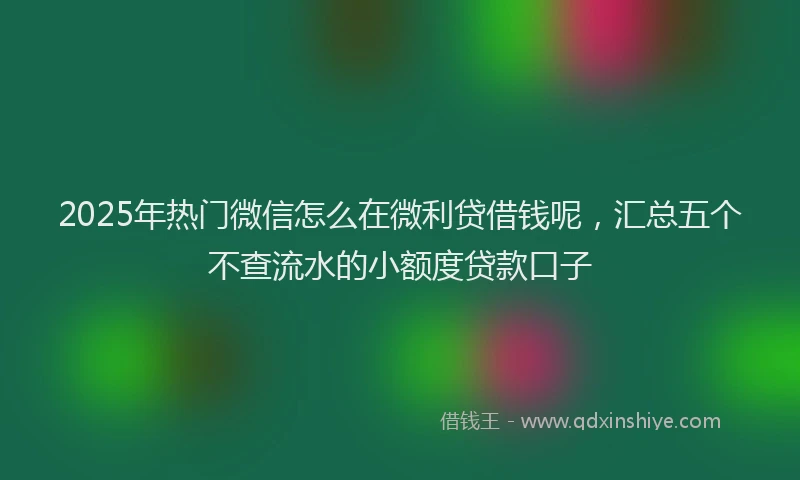 2025年热门微信怎么在微利贷借钱呢，汇总五个不查流水的小额度贷款口子