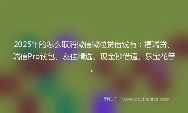 2025年的怎么取消微信微粒贷借钱有：福瑞贷、瑞信Pro钱包、友佳精选、现金秒借通、乐宝花等。