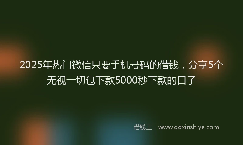 2025年热门微信只要手机号码的借钱，分享5个无视一切包下款5000秒下款的口子