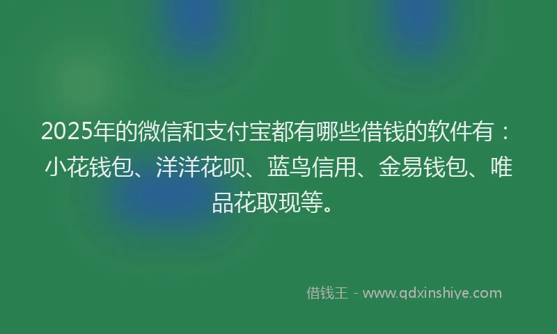 2025年的微信和支付宝都有哪些借钱的软件有：小花钱包、洋洋花呗、蓝鸟信用、金易钱包、唯品花取现等。