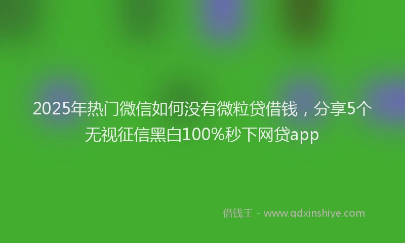 2025年热门微信如何没有微粒贷借钱，分享5个无视征信黑白100%秒下网贷app