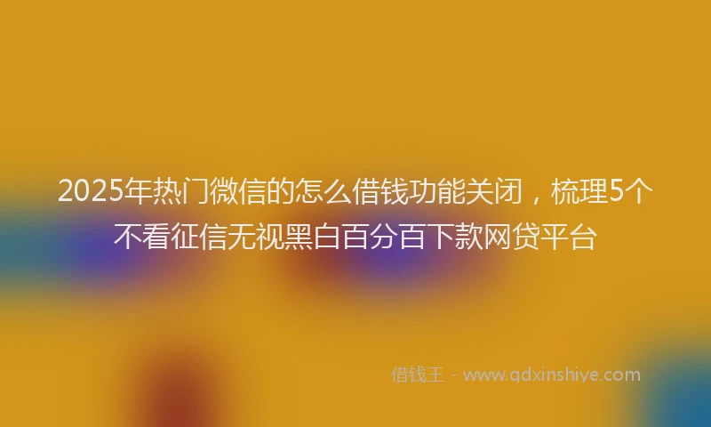 2025年热门微信的怎么借钱功能关闭，梳理5个不看征信无视黑白百分百下款网贷平台