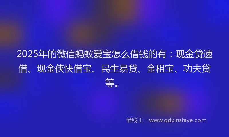 2025年的微信蚂蚁爱宝怎么借钱的有：现金贷速借、现金侠快借宝、民生易贷、金租宝、功夫贷等。