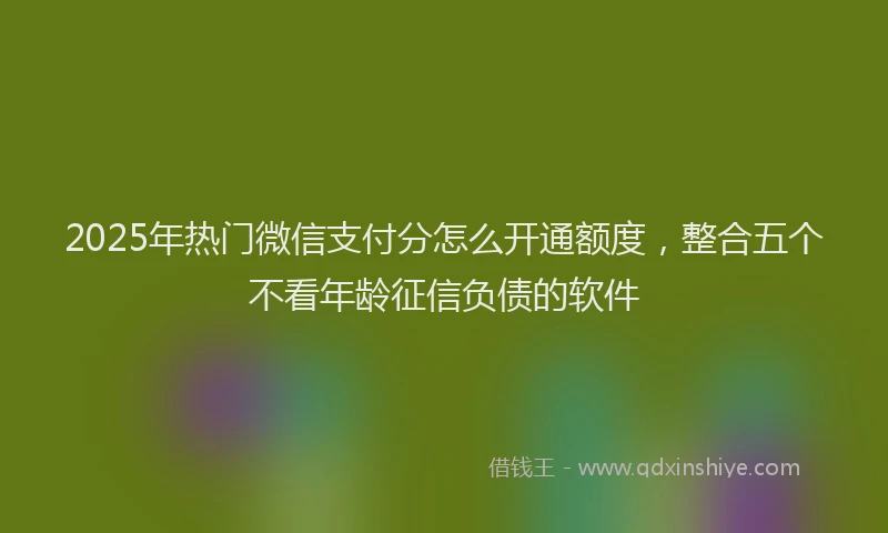 2025年热门微信支付分怎么开通额度，整合五个不看年龄征信负债的软件