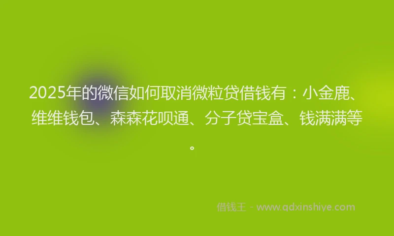 2025年的微信如何取消微粒贷借钱有：小金鹿、维维钱包、森森花呗通、分子贷宝盒、钱满满等。
