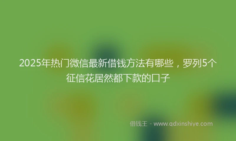 2025年热门微信最新借钱方法有哪些，罗列5个征信花居然都下款的口子