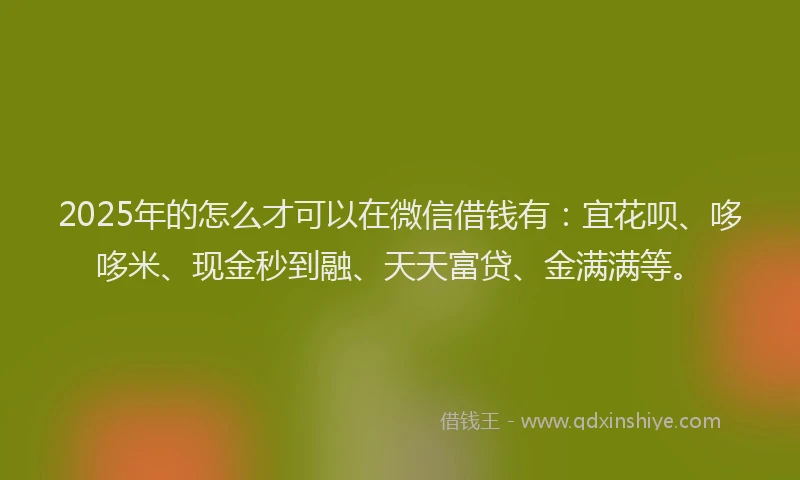 2025年的怎么才可以在微信借钱有：宜花呗、哆哆米、现金秒到融、天天富贷、金满满等。