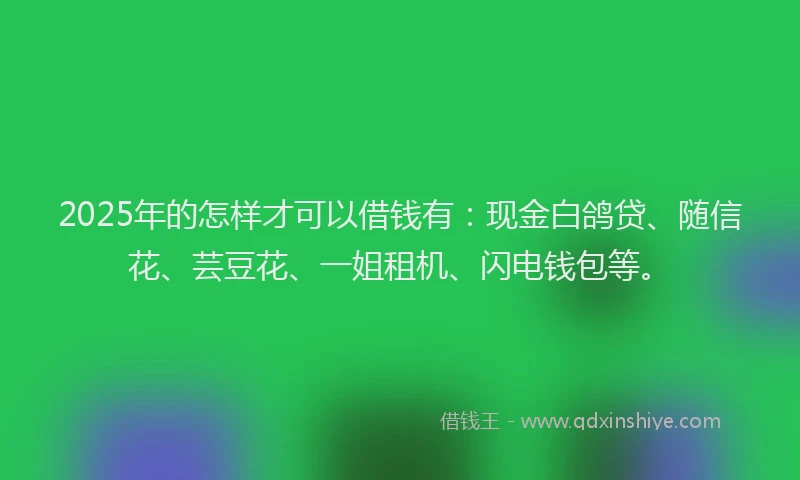 2025年的怎样才可以借钱有：现金白鸽贷、随信花、芸豆花、一姐租机、闪电钱包等。