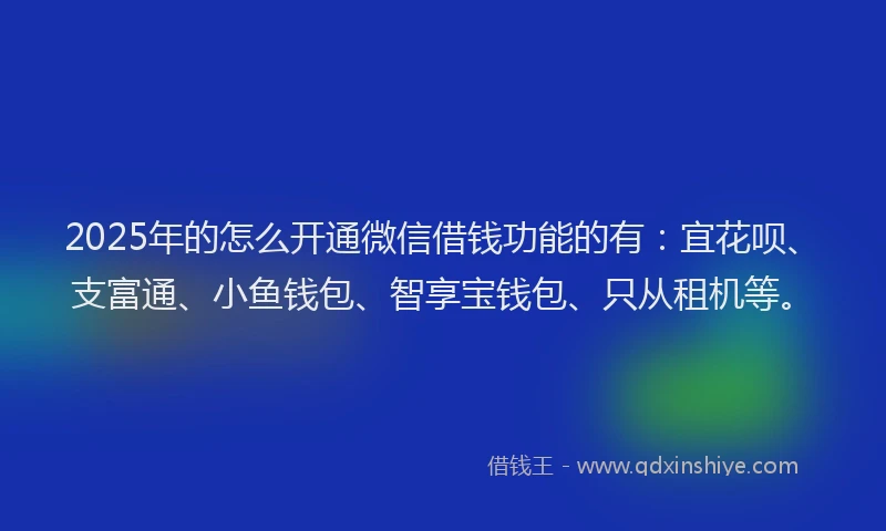 2025年的怎么开通微信借钱功能的有：宜花呗、支富通、小鱼钱包、智享宝钱包、只从租机等。