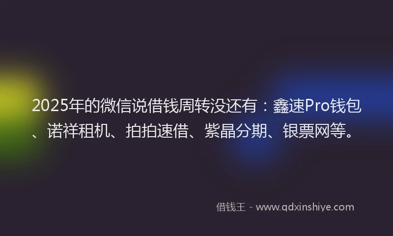 2025年的微信说借钱周转没还有：鑫速Pro钱包、诺祥租机、拍拍速借、紫晶分期、银票网等。