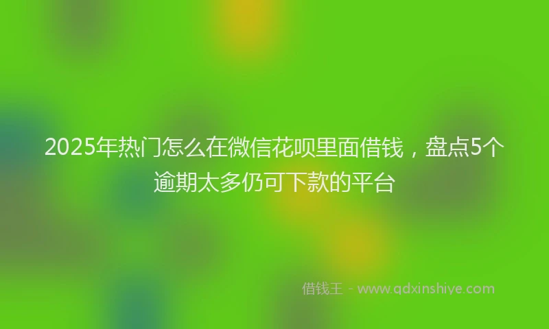 2025年热门怎么在微信花呗里面借钱，盘点5个逾期太多仍可下款的平台
