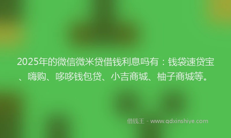 2025年的微信微米贷借钱利息吗有：钱袋速贷宝、嗨购、哆哆钱包贷、小吉商城、柚子商城等。