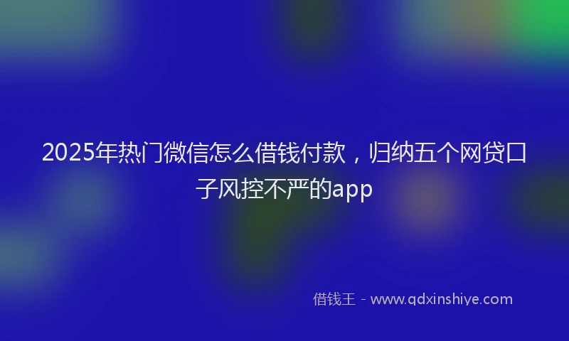 2025年热门微信怎么借钱付款，归纳五个网贷口子风控不严的app