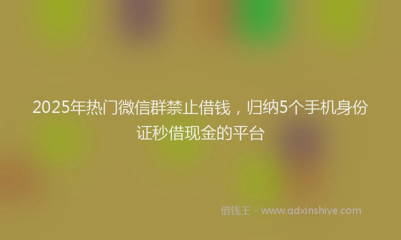 2025年热门微信群禁止借钱，归纳5个手机身份证秒借现金的平台