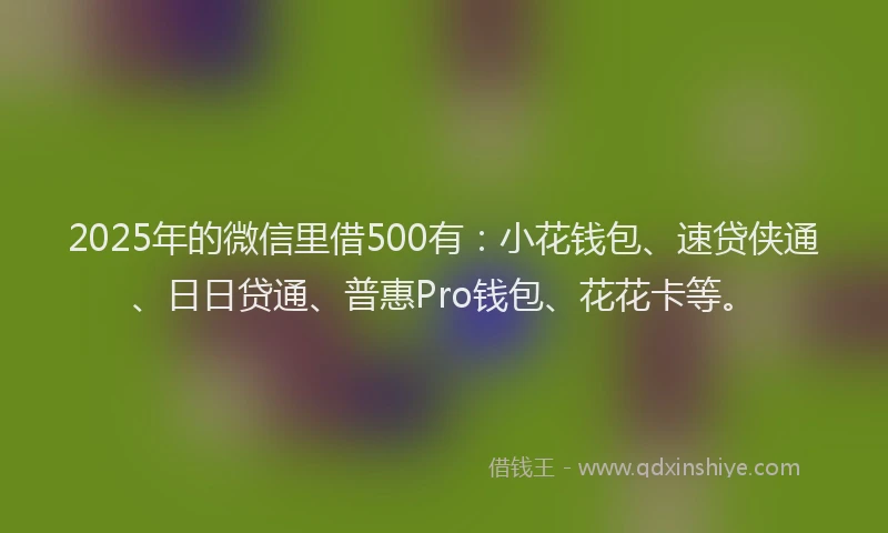 2025年的微信里借500有：小花钱包、速贷侠通、日日贷通、普惠Pro钱包、花花卡等。